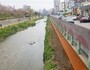 부산 사상구, 학장천 내 악취발생지 힐링 공간으로 탈바꿈