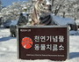 우치동물원, ‘천연기념물 동물치료소’ 지정