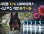 ‘차기 팬데믹 후보’ 니파바이러스…한국, 백신 개발 착수
