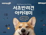 서초반려견 아카데미 상반기 교육 8일부터 접수