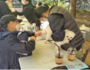 관악구, 성숙한 반려동물 문화 확산…유기동물 입양비 지원