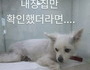 농식품부, 휴가철에 버려지는 반려동물 예방 캠페인 실시