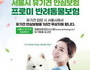 서울시 