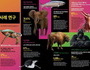 WWF 보고서 