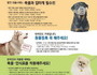 순창군, 반려동물 외출시 의무사항 홍보 캠페인 추진