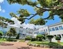 남해군, 길고양이 함부로 데려가지 마세요!!