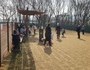 구리시, '반려동물 놀이터' 좋은 반응