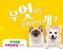 성동구, 반려동물 무료상담 ‘무엇이든 물어보시개’ 운영