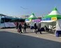 전남도, '찾아가는 선별검사 버스' 호평
