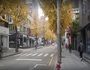 강남구 '가로수길', 도로 표지판 싹 바뀌어