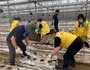 수원시 재난재해봉사단, 안성 일죽면 피해 복구 지원