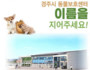 경주 동물보호센터 명칭 공모...내달 26일 개장