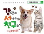 강서구, ‘강댕이&서냥이와 친구되기’ 온라인 교육 실시
